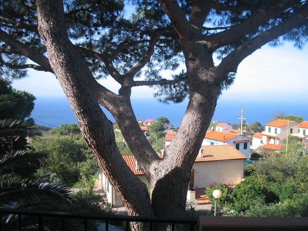 Da Angiolina Villa Marciana  Rum bild